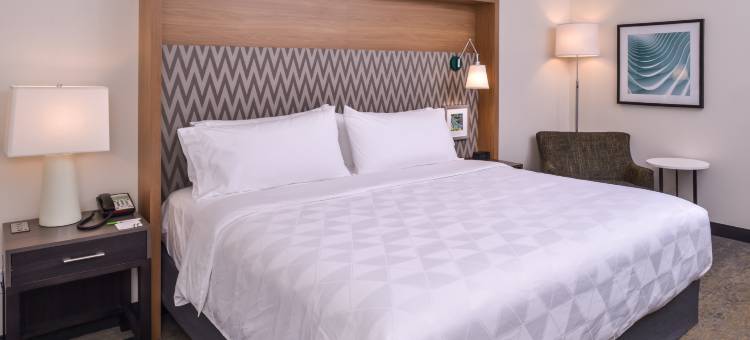 洲际酒店集团假日酒店底特律西北 - 利沃尼亚(Holiday Inn Detroit Northwest - Livonia)图片