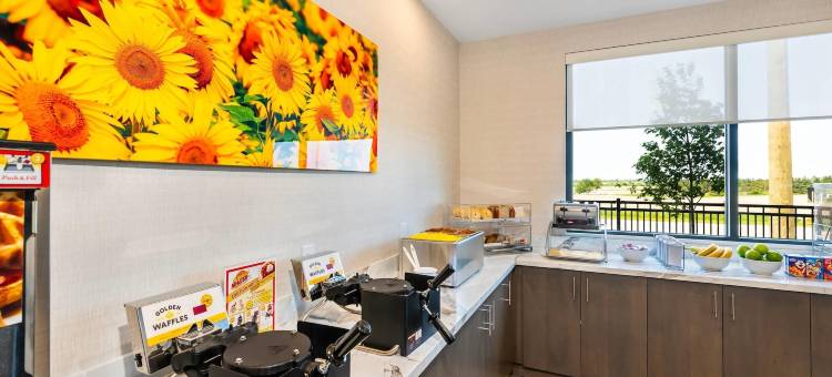 舒适酒店及套房(Comfort Inn  & Suites)图片