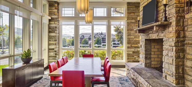 希尔顿花园酒店-鸽子谷(Hilton Garden Inn Pigeon Forge)图片