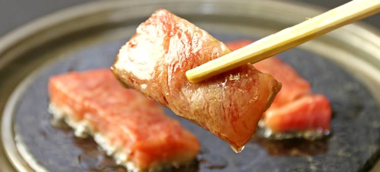 柿野温泉 八胜园汤元馆(Hasshoen Yumotokan)图片