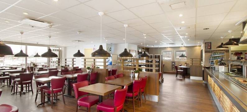 免下车汽车旅馆(Drive-in Motell)图片