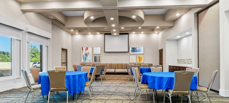 智选假日套房酒店奥尔巴尼 by IHG(Holiday Inn Express & Suites ALBANY by IHG)图片