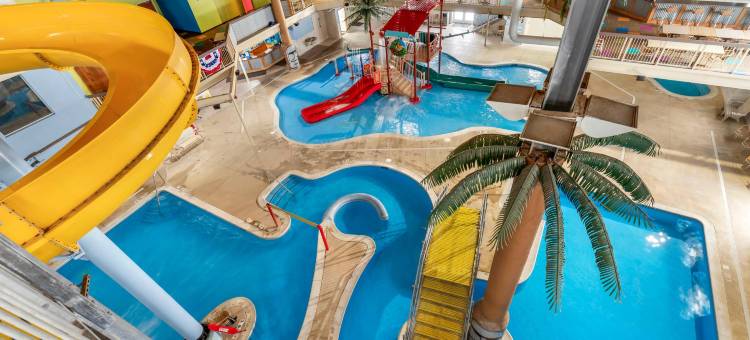 舒适酒店及套房(Comfort Inn & Suites)图片