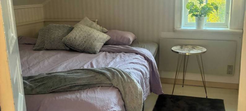 安妮的灯光古董之家(Annies Light Antique House)图片