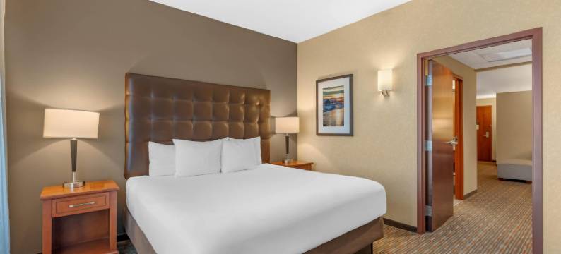 迈尔斯堡机场FGCU德鲁里套房酒店(Drury Inn & Suites Fort Myers Airport FGCU)图片