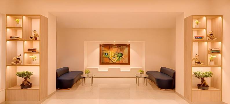 德里机场 Lemon Tree 酒店(Lemon Tree Hotel, Delhi Airport)图片