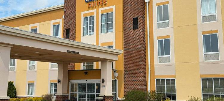 马利耶塔派克斯伯格市舒适套房酒店(Comfort Suites Marietta-Parkersburg)图片