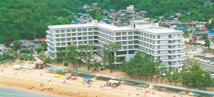 濑户内海钻石酒店(Diamond Setouchi Marine Hotel)图片