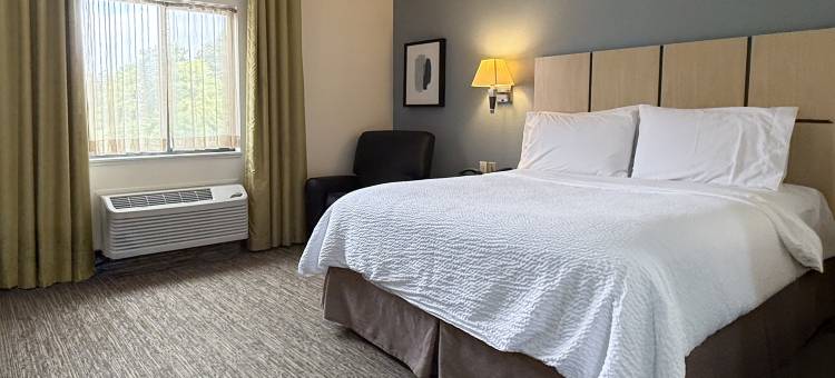 Candlewood Suites 东兰辛(Candlewood Suites EAST LANSING by IHG)图片