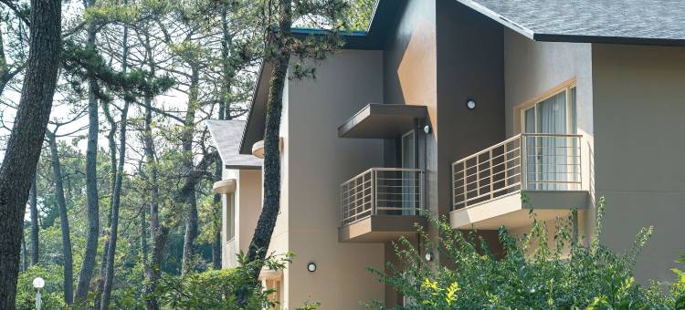 喜凯亚森林小屋(旧：日向别墅)(Seagaia Forest Cottage(Old:Cottage HIMUKA))图片