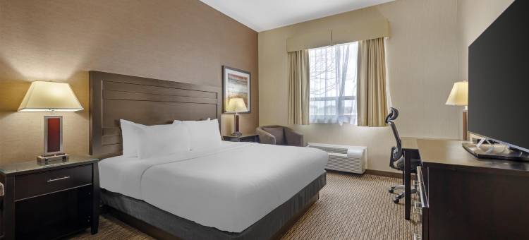 埃斯特万贝斯特韦斯特优质套房酒店(Best Western Plus Estevan Inn  Suites)图片