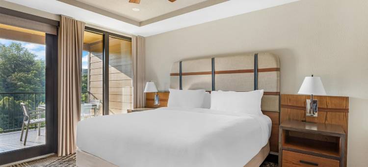 Hilton Vacation Club MountainLoft Gatlinburg图片