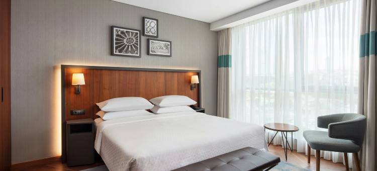 伊斯坦布尔卡吉塔尼福朋喜来登酒店(Four Points by Sheraton Istanbul Kagithane)图片