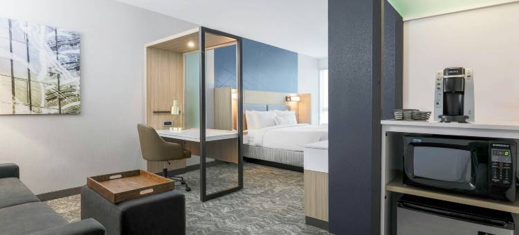 SpringHill Suites San Jose Fremont图片
