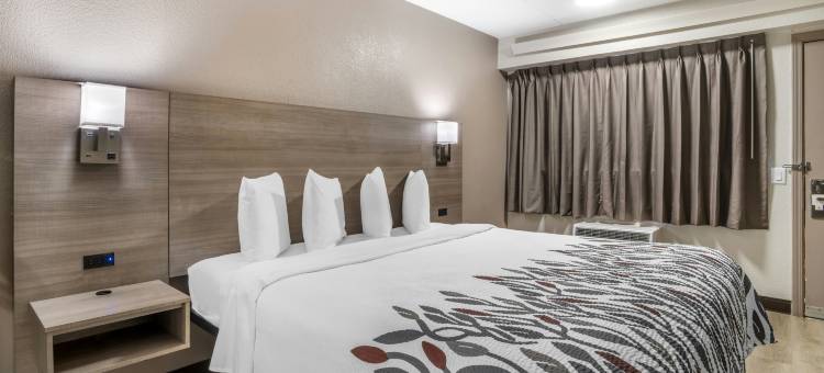 格林维尔红顶旅馆(Red Roof Inn Greenville)图片