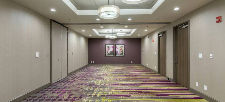 温斯顿塞勒姆大学希尔顿逸林酒店(DoubleTree by Hilton Winston Salem - University)图片