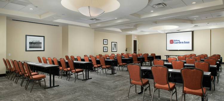 富兰克林纳什维尔酷斯普林斯希尔顿花园酒店(Hilton Garden Inn Nashville/Franklin Cool Springs)图片