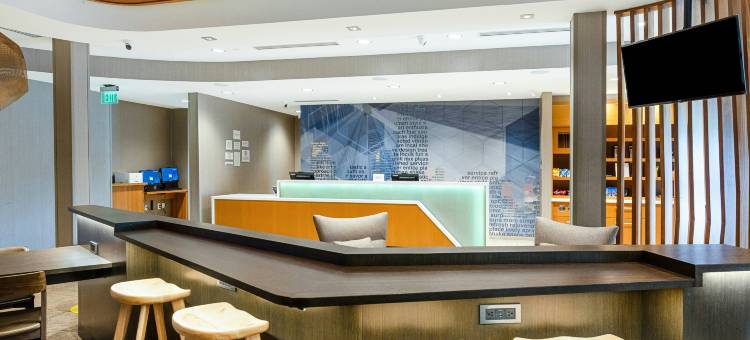 北查尔斯顿万豪SpringHill套房酒店(SpringHill Suites Charleston Airport & Convention Center)图片