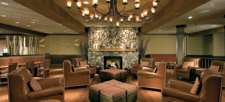 芝加哥希尔顿逸林酒店-阿灵顿高地(DoubleTree by Hilton Hotel Chicago - Arlington Heights)图片