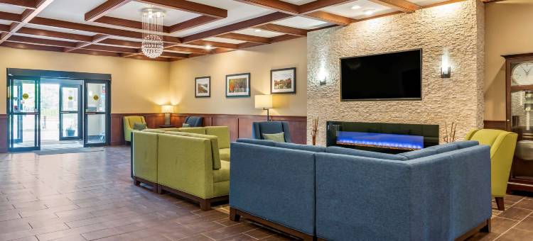 舒适套房酒店-大急流城北(Comfort Suites Grand Rapids North)图片