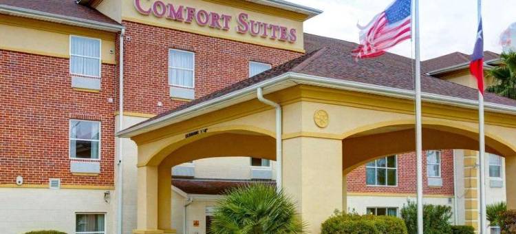 大学路舒适套房酒店(Comfort Suites University Drive)图片