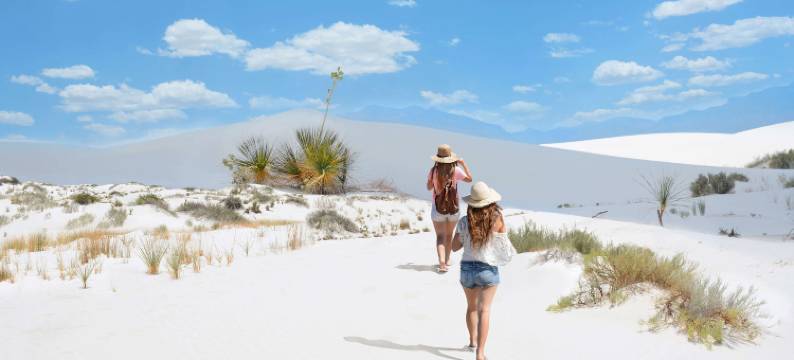经典艾尔沙漠汽车旅馆(The Classic Desert Aire Hotel)图片