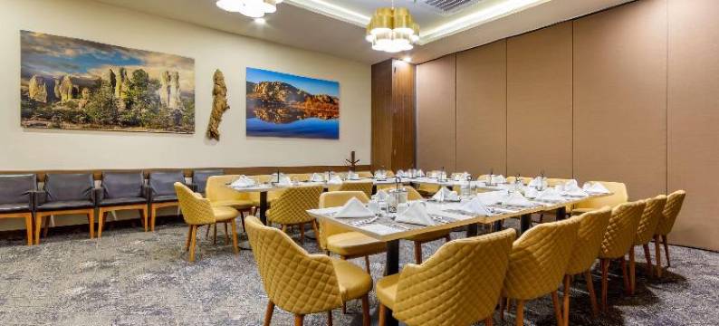 凯艺酒店-三藩市奇瓦瓦(Quality Inn Chihuahua San Francisco)图片