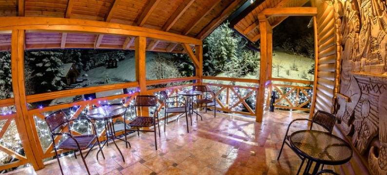 卡帕斯卡别墅(Karpatska Villa)图片