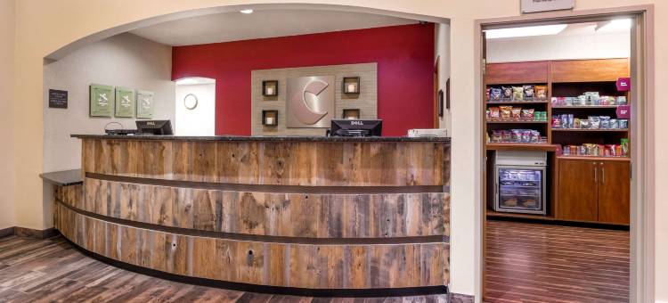 伯灵顿舒适套房酒店(Comfort Suites Burlington)图片