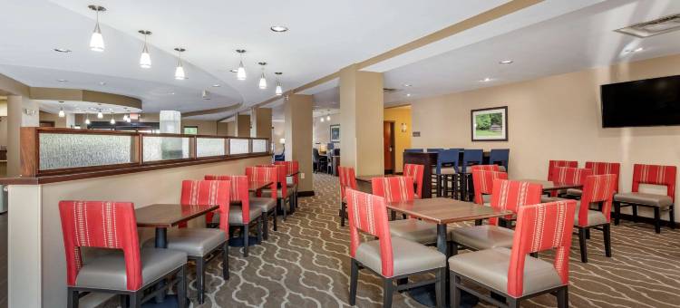 舒适套房酒店(Comfort Suites)图片