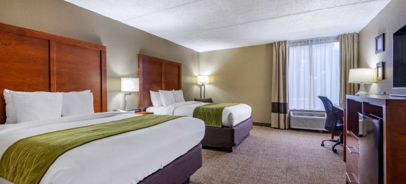 舒适酒店-马修斯地区夏洛特(Comfort Inn Matthews / Charlotte)图片