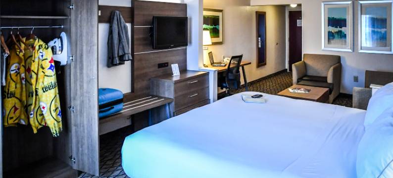 智选假日套房酒店鸿(Holiday Inn Express & Suites CONCORD by IHG)图片