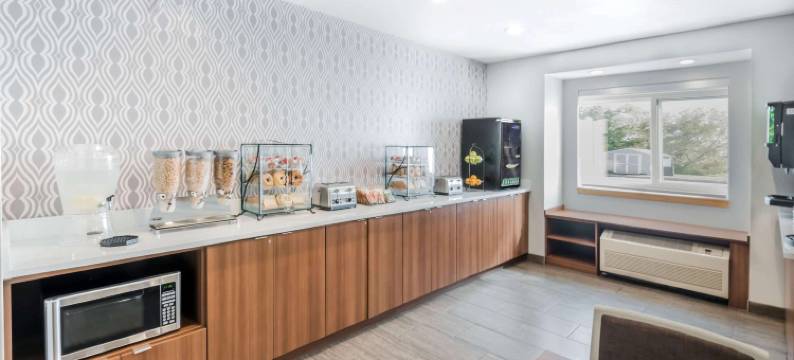 Microtel Inn & Suites by Wyndham Victor/Rochester图片