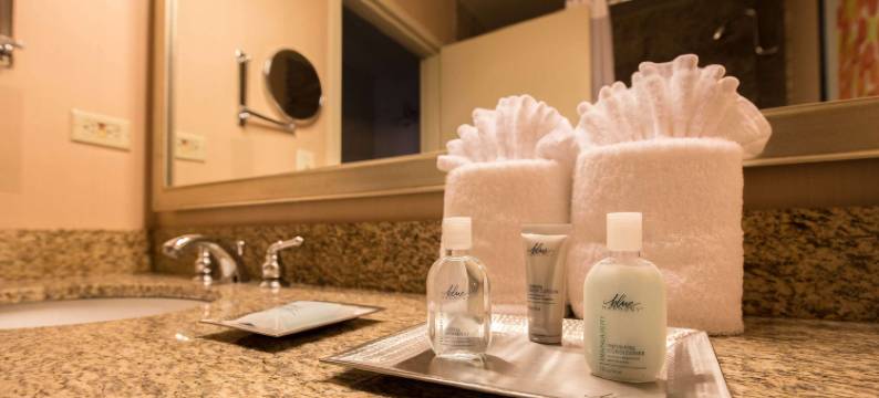 芝加哥奥黑尔温德姆酒店(Wyndham Chicago O'Hare)图片