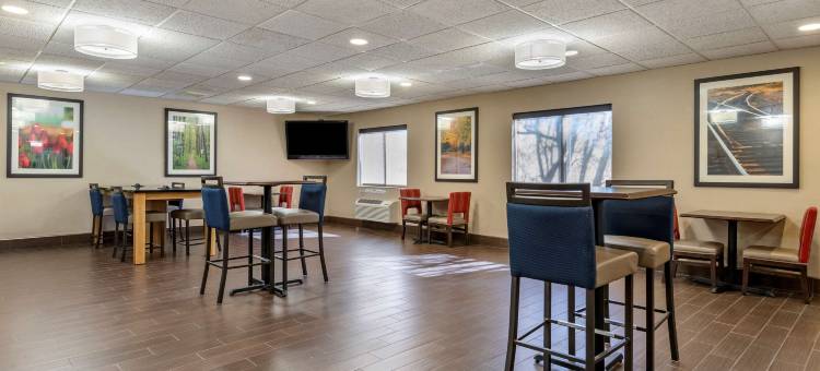 波波的舒适酒店套房(Comfort Inn & Suites)图片