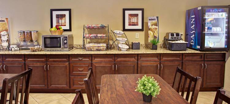 卡特斯维尔麦客达套房酒店(Microtel Inn & Suites by Wyndham Cartersville)图片