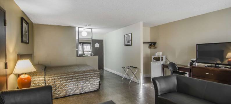 劳埃德明斯特伊克诺旅馆(Econo Lodge Lloydminster)图片