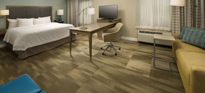 锡拉丘兹/凯瑞尔环路欢朋酒店(Hampton Inn & Suites Syracuse/Carrier Circle)图片