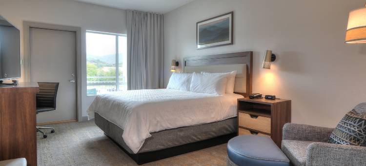 鸽子谷会议中心假日酒店及套房(Holiday Inn & Suites Pigeon Forge Convention Center)图片