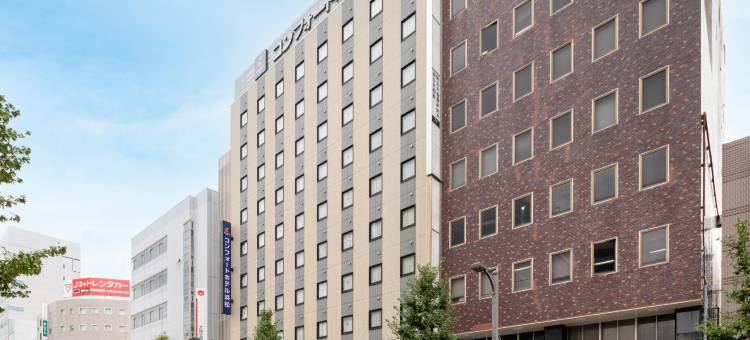 滨松舒适酒店(Comfort Hotel Hamamatsu)图片