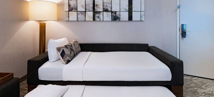 Marriott Austin North的SpringHill套房(SpringHill Suites by Marriott Austin North)图片