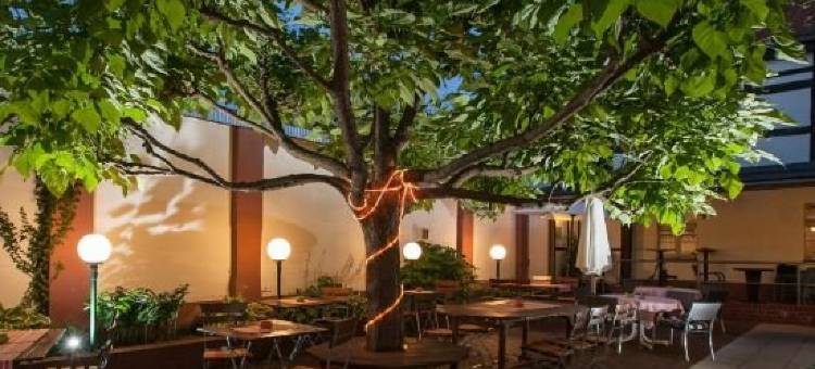 西托尔酒店(Hotel am Seetor)图片