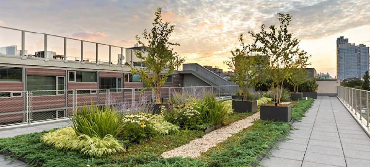 鲁克林波德酒店(Pod Brooklyn)图片