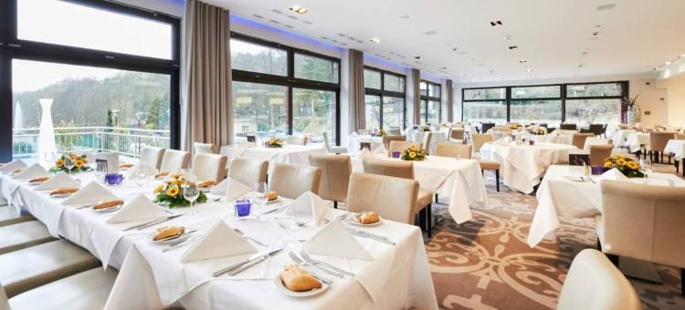 阿尔维斯公园酒店(Parc Hotel Alvisse)图片