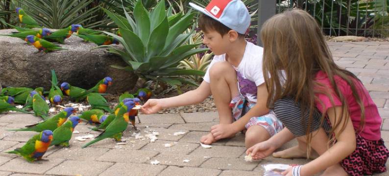 休闲岛度假村(Island Leisure Resort)图片