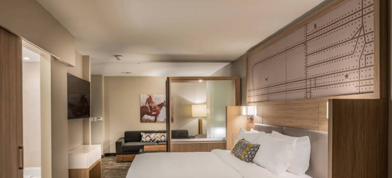 沃斯堡历史区斯多克雅兹万豪SpringHill Suites酒店(SpringHill Suites Fort Worth Historic Stockyards)图片