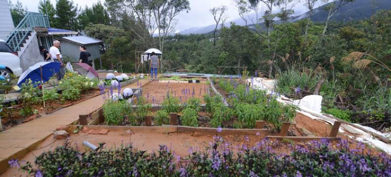 T天堂酒店(T Paradise)图片