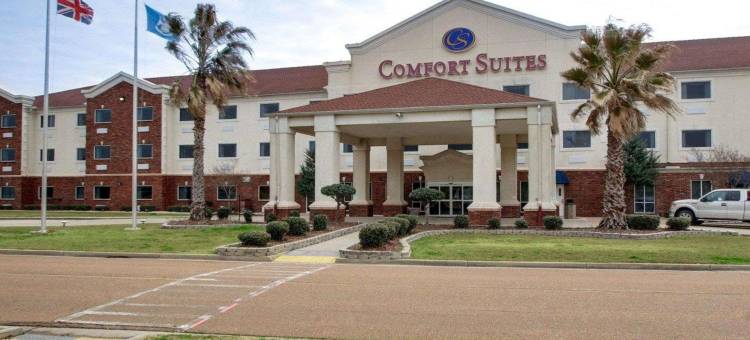 凯隆酒店(Clarion Suites)图片