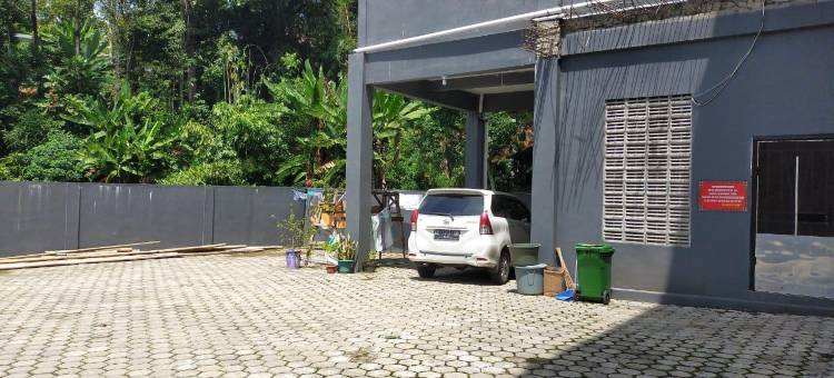 托拉佳戈辛埃法塔酒店(Gosyen Efata Toraja Hotel)图片