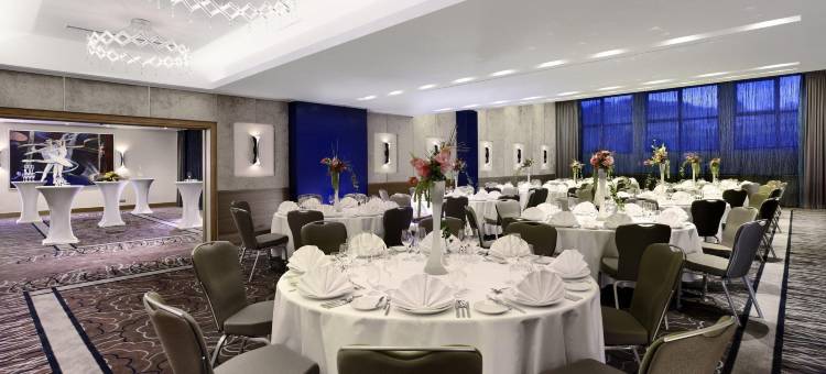 奥拉迪亚希尔顿逸林酒店(DoubleTree by Hilton Oradea)图片